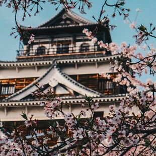 ΙΑΠΩΝΙΑ ΚΕΡΑΣΙΕΣ 