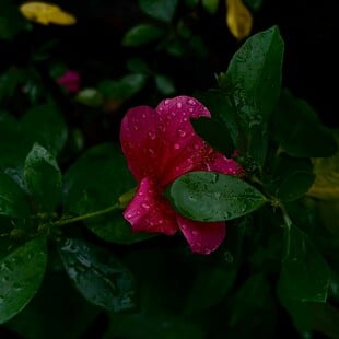 ΚΑΙΡΟΣ ΒΡΟΧΕΣ ΕΜΥ