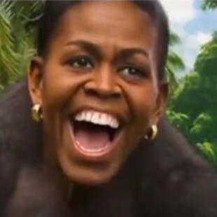 ΤΡΑΜΠ ΟΜΠΑΜΑ ΠΙΘΗΚΟΙ