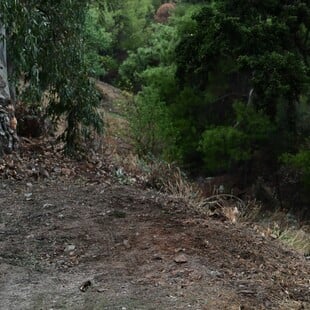 ΚΑΡΠΕΝΗΣΙ ΣΟΡΟΣ ΓΚΡΕΜΟΣ ΑΥΤΟΚΙΝΗΤΟ