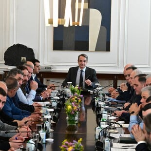 ΚΤΗΝΟΤΡΟΦΟΙ ΜΗΤΣΟΤΑΚΗΣ 