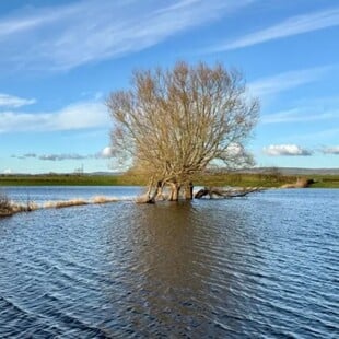 ΒΡΟΧΗ 2026 ΒΡΕΤΑΝΙΑ
