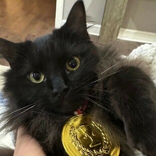 ΧΕΙΜΕΡΙΝΟΙ ΟΛΥΜΠΙΑΚΟΙ ΑΓΩΝΕΣ ΓΑΤΑ ΙΛΙΑ ΜΑΛΙΝΙΝ