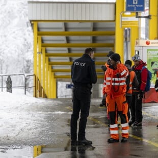 ΕΛΒΕΤΙΑ ΤΡΕΝΟ ΕΚΤΡΟΧΙΑΣΜΟΣ