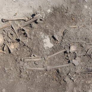 ΛΙΘΙΝΗ ΕΠΟΧΗ ΣΟΥΗΔΙΑ ΟΙΚΟΓΕΝΕΙΑ