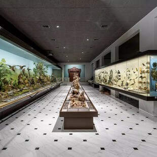 «Ο γύρος του κόσμου...σε 10 Κυριακές» στο Εθνικό Μουσείο Φυσικής Ιστορίας Γουλανδρή