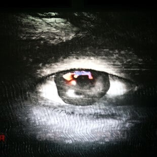 Η όραση ίσως ξεκίνησε από έναν «Κύκλωπα» πριν 560 εκατ. χρόνια, σύμφωνα με έρευνα