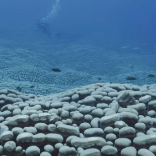 ΚΟΡΑΛΛΙ ΑΝΑΚΑΛΥΨΗ ΜΕΓΑΛΟΣ ΚΟΡΑΛΛΙΟΓΕΝΗΣ ΥΦΑΛΟΣ