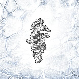 RNA DNA ΑΝΘΡΩΠΙΝΗ ΖΩΗ CAMBRIDGE