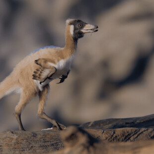 ΔΕΙΝΟΣΑΥΡΟΣ ΑΡΓΕΝΤΙΝΗ