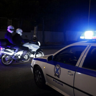 ΧΑΛΚΙΔΙΚΗ ΑΝΘΡΩΠΙΝΑ ΜΕΛΗ