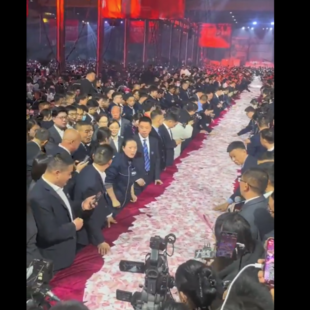 ΚΙΝΑ ΜΠΟΝΟΥΣ ΥΠΑΛΛΗΛΟΙ