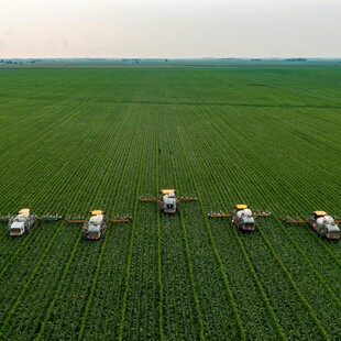 MERCOSUR ΣΥΜΦΩΝΙΑ ΕΕ ΕΥΡΩΚΟΙΝΟΒΟΥΛΙΟ