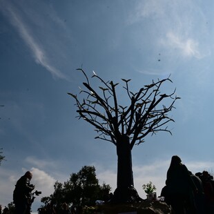 ΤΕΜΠΗ ΜΝΗΜΕΙΟ ΤΙ ΣΥΜΒΟΛΙΖΕΙ