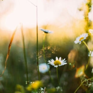 ΚΑΙΡΟΣ ΜΑΡΤΙΟΣ