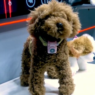 PETPHONE SMARTPHONE ΚΑΤΟΙΚΙΔΙΟ