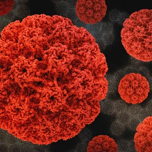 HPV ΙΟΣ ΑΝΘΡΩΠΙΝΩΝ ΘΗΛΩΜΑΤΩΝ ΕΜΒΟΛΙΟ