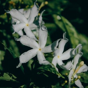 Αλλάζει ο καιρός: Πού θα βρέξει τις επόμενες ώρες