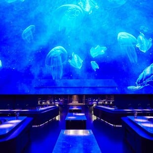 Από τη Noma στο Κοινοβούλιο: όταν η κουζίνα διεκδικεί θέση δίπλα στη ζωγραφική