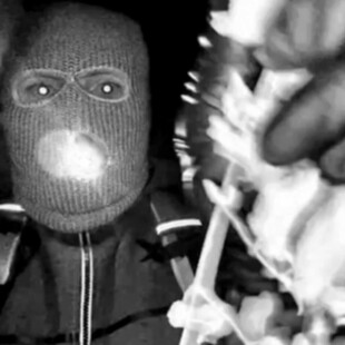 Savannah Guthrie: Αναπάντητα ερωτήματα καθώς η αναζήτηση της μητέρας της μπαίνει σε νέο μήνα