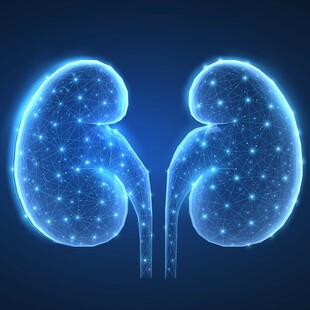 Παγκόσμια Ημέρα Νεφρού 