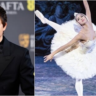 ΤΙΜΟΤΕ ΣΑΛΑΜΕ ΜΙΣΤΙ ΚΟΠΛΑΝΤ ΜΠΑΛΕΤΟ ΟΠΕΡΑ