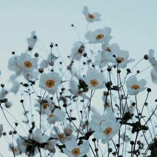 ΚΑΙΡΟΣ ΣΑΒΒΑΤΟ ΚΥΡΙΑΚΗ ΚΡΥΟ