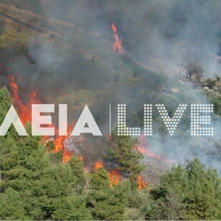 ΦΩΤΙΑ ΗΛΕΙΑ ΕΛΑΙΩΝΑΣ