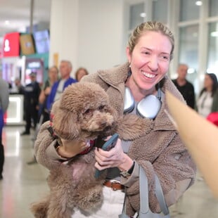 ΝΤΟΥΜΠΑΪ ΠΤΗΣΗ ΕΠΑΝΑΠΑΤΡΙΣΜΟΣ ΚΑΤΟΙΚΙΔΙΑ