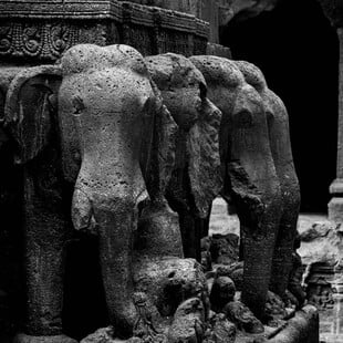 ΝΕΑΝΤΕΡΝΤΑΛ ΕΛΕΦΑΝΤΕΣ ΚΥΝΗΓΙ ΕΡΕΥΝΑ