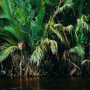 ΦΩΤΙΕΣ ΑΝΘΡΑΚΑΣ ΥΓΡΟΤΟΠΟΙ