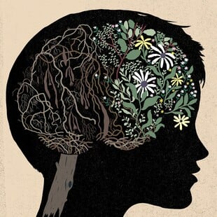 Νέα έρευνα: Η δίαιτα που επιβραδύνει τη γήρανση του εγκεφάλου