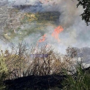 ΦΩΤΙΑ ΚΕΦΑΛΟΝΙΑ 