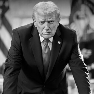 ΝΤΟΝΑΛΝΤ ΤΡΑΜΠ ΧΑΡΤΗΣ ΘΗΤΕΙΑ