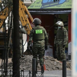 ΟΒΙΔΑ ΠΕΥΚΗ ΔΙΑΚΟΠΗ ΚΥΚΛΟΦΟΡΙΑΣ