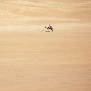 ΕΡΗΜΟΣ ΣΑΧΑΡΑ ΚΛΙΜΑΤΙΚΗ ΑΛΛΑΓΗ ΑΦΡΙΚΑΝΙΚΗ ΣΚΟΝΗ