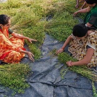 ΙΡΑΝ ΠΟΛΕΜΟΣ ΙΝΔΙΑ ΛΙΠΑΣΜΑΤΑ