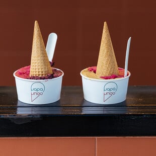 «ένα παγωτατζίδικο της γειτονιάς που σου προσφέρει στο χέρι μια νέα εμπειρία, είναι τόσο σημαντικό όσο το πρώτο παγωτό που έφαγες όταν ήσουν παιδί»