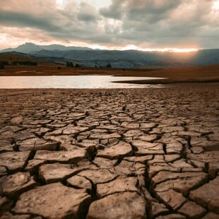 ΞΗΡΑΣΙΑ ΑΝΤΙΒΙΟΤΙΚΑ ΕΡΕΥΝΑ