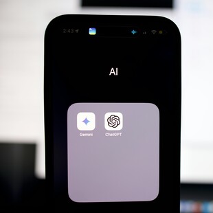 GOOGLE GEMINI CHATGPT