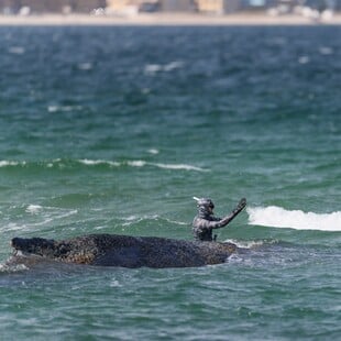 ΓΕΡΜΑΝΙΑ ΜΕΓΑΠΤΕΡΗ ΦΑΛΑΙΝΑ ΔΙΑΣΩΣΗ