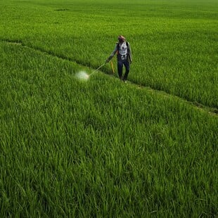 ΚΑΡΚΙΝΟΣ ΦΥΤΟΦΑΡΜΑΚΑ ΕΡΕΥΝΑ