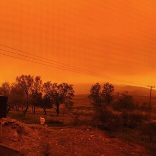 ΚΡΗΤΗ ΑΦΡΙΚΑΝΙΚΗ ΣΚΟΝΗ ΠΟΡΤΟΚΑΛΙ