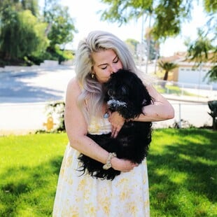 Οταν η AI δεν γράφει κείμενα, αλλά βρίσκει χαμένους σκύλους και γάτες