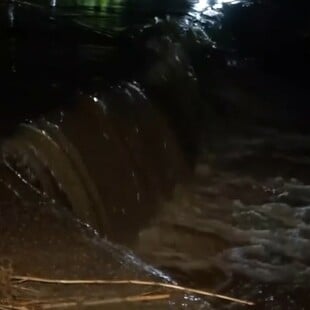 ΣΠΑΤΑ ΟΔΟΣ ΠΕΥΚΟΥ ΡΕΜΑ ΥΠΕΡΧΕΙΛΙΣΗ ΚΑΚΟΚΑΙΡΙΑ ΚΑΙΡΟΣ