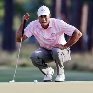 ΤΑΙΓΚΕΡ ΓΟΥΝΤΣ ΤΡΟΧΑΙΟ ΑΤΥΧΗΜΑ ΑΠΟΣΥΡΣΗ