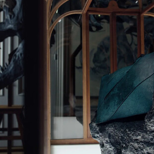 ΤΣΑΝΤΑ ΔΗΜΟΠΡΑΣΙΑ ΤΥΡΑΝΝΟΣΑΥΡΟΣ