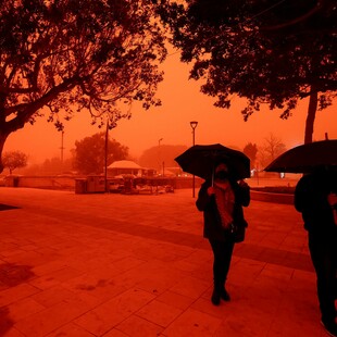 ΑΦΡΙΚΑΝΙΚΗ ΣΚΟΝΗ ΥΓΕΙΑ ΠΝΕΥΜΟΝΕΣ
