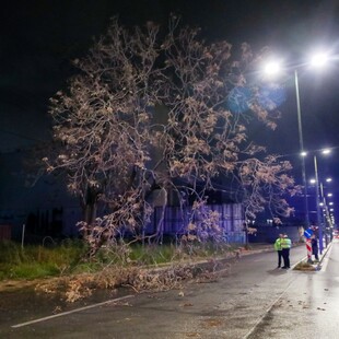 ΚΑΚΟΚΑΙΡΙΑ ERMINIO ΝΕΚΡΟΣ ΝΕΑ ΜΑΚΡΗ
