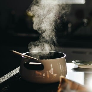 ΝΗΣΤΕΙΑ ΦΑΓΗΤΟ ΓΑΣΤΡΕΝΤΕΡΙΤΙΔΑ